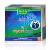 fin Mycelcaps